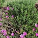 나뛰르 펜션 이미지