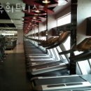 알유휘트니스 이미지