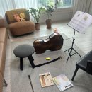 첼로(주간) 이미지