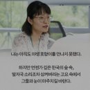 호랑이와 반달곰 이미지