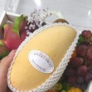 푸릇채움