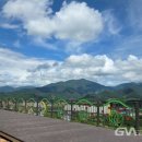 고원 카카오 검색결과
