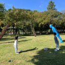 변조된 꿈 이미지