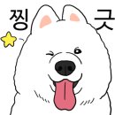 왕짱애견유치원 이미지