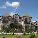 숲속의 별들 이미지