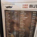 미니펍양산