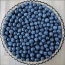 블루베리 이미지