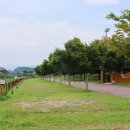 쉬리마을 농어촌 관광 휴양단지 야영장 | [강원특별자치도 철원군] 쉬리마을 농어촌 관광 휴양단지 야영장 - 잘 조성된 공원과 저렴한 가격