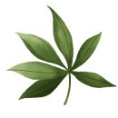 울알라애견미용 이미지