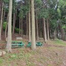 숲의머무룸 이미지