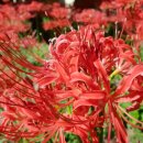 함라농장 이미지