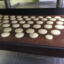 [제과제빵기능사 실기] 제빵기능사(2020) 이미지