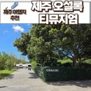 오설록 교차로 | 제주 오설록 티뮤지엄 제주 관광지 추천 말차 아이스크림 디저트 누들바