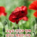 엄지 공주 이미지