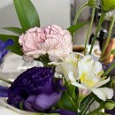 노정형외과의원 이미지