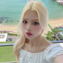 성진미용실 네이버블로그