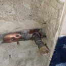 군포양정초등학교 이미지