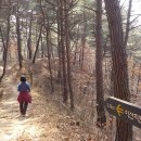 이산치안센터 이미지