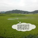 정가네농장 이미지