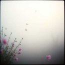 기억의 정원 이미지