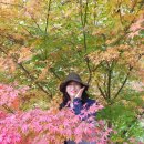 경상남도수목원 유아숲체험원 이미지