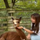 화촌면 가락재로 강원 네이버블로그