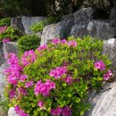 정경한의원 이미지