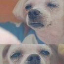 라끄블랑 이미지