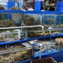 삼일수산식당 이미지