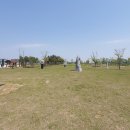 삽교호 호수공원 야구장 이미지