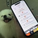 더조은셀프 | 강아지미끄럼방지매트 추천, 논슬립 더조은 애견매트 시공매트 할인 이벤트 및 혜택 확인