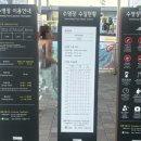 세븐pc방 | 서울 광진구] 야경 처돌이의 한강공원 수영장 후기_ 뚝섬 한강 수영장 (편의점, 에어펌프, 주차 정보...