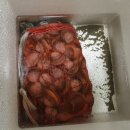 하윤황태앤코다리 | 2019 9.16 영종도여행(갯벌체험, 엠클리프)