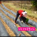 봄뜰에농장 이미지