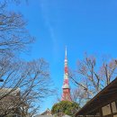 테라카페 - 115699 | 테라카페