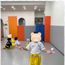 으뜸태권도 이미지