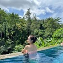 들성로(대3-8) | #8. 발리 신혼여행 7일차 일정(녜삐데이, 더웨스틴리조트 우붓 후기)