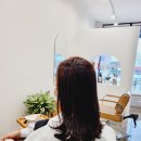 셀레네헤어살롱