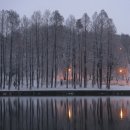 안병관농장 이미지