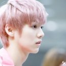 오성가든 이미지