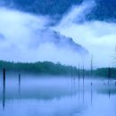 희미한옛사랑의그림자 이미지