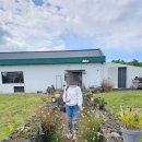 모들 | 제주 모들한상 후기, 고사리 보말 파스타가 특별했던 애월 맛집