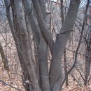 진흥중고등학교 이미지