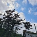 방죽포해수욕장(주차장) 이미지