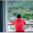 다담상조 Daum카페