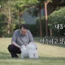 정치농장 이미지