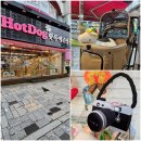 핫독애견백화점 이미지