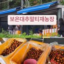 보은대추말티재농장