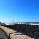 돌담너머바다 이미지