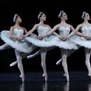 Swan Lake(백조의 호수) - Tchaikovsky(차이코프스키) 이미지